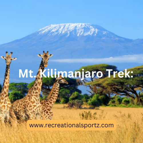 Mt.Kilimanjaro : A beautiful trek which requires the heart of a beast to conquer.